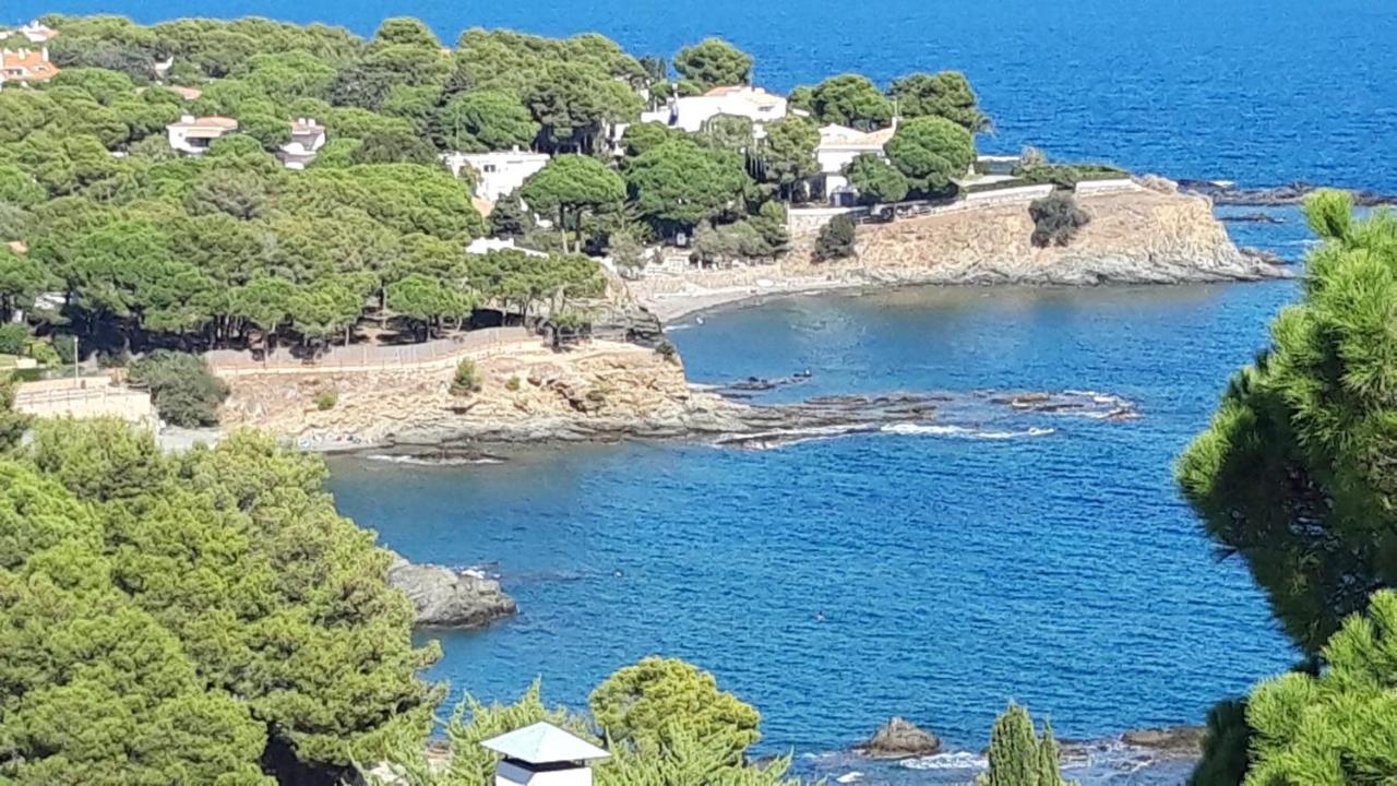 Апартаменти L'Armonia Entre La Farella I Cau Del Llop Лянса Екстер'єр фото